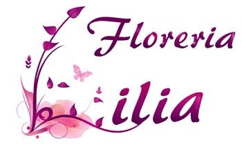 FLORERIA LILIA