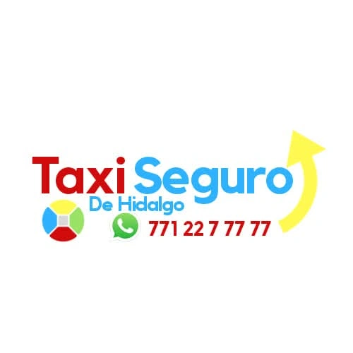 Logo de TAXI SEGURO DE HIDALGO