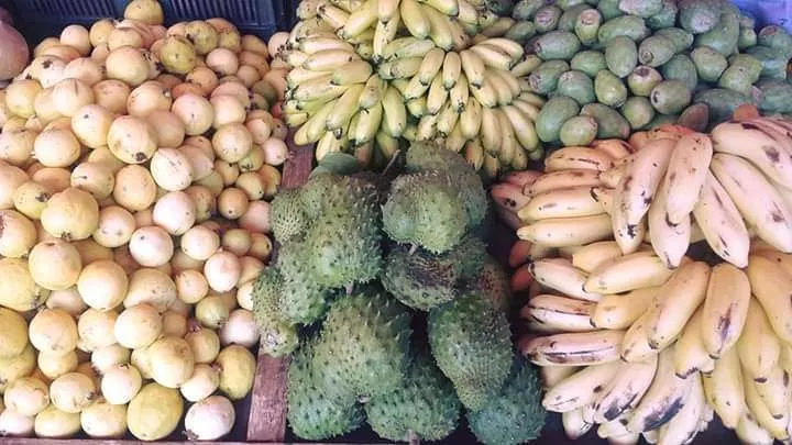 Galería de Fruteria Liz