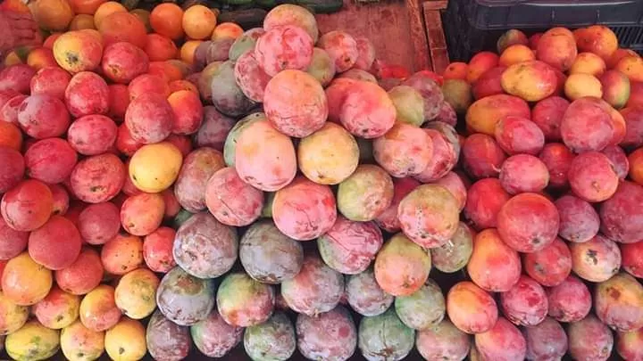 Galería de Fruteria Liz