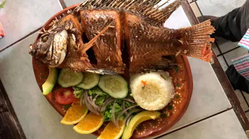 Galería de Restaurante el Manantial