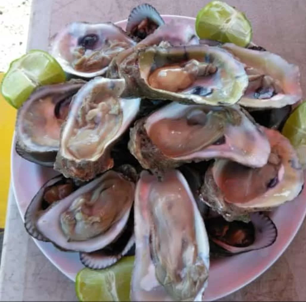 Galería de La Ostionera