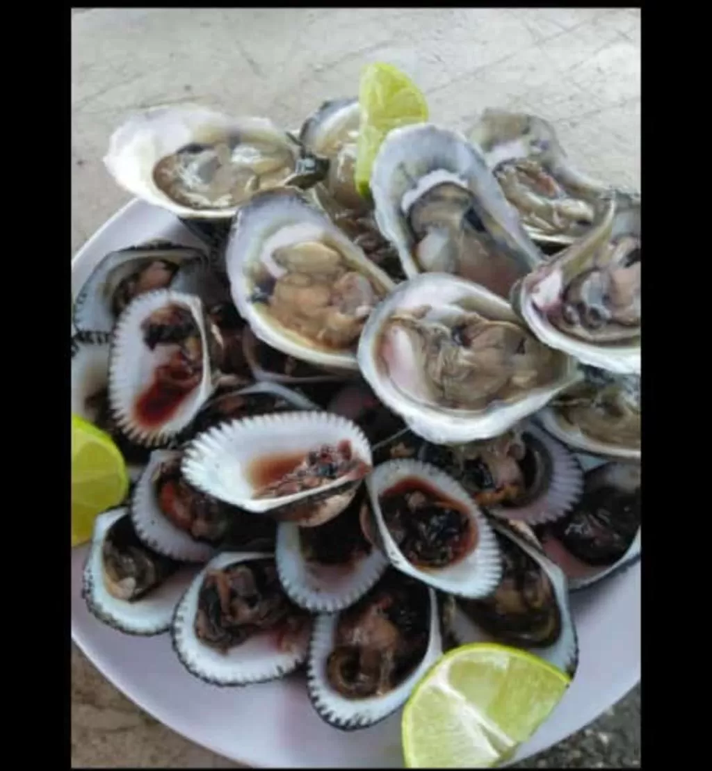 Galería de La Ostionera