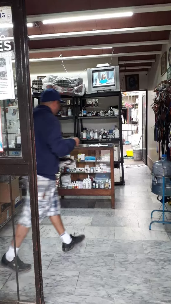 Galería de Veterinaria Zarate - Roberto Adolfo Zarate Rueda