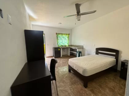 RENTA DE DEPARTAMENTOS EN LA ALAMEDA