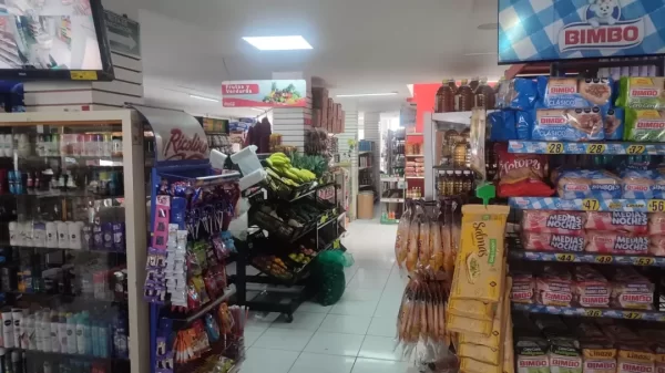 ING PAQUETERIA Y MENSAJERIA EXPRESS