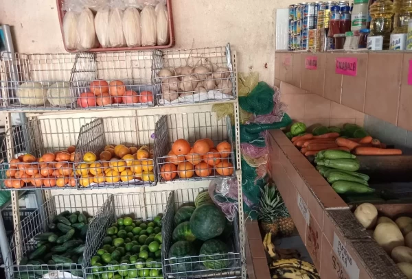 FRUTERIA ZEPEDA