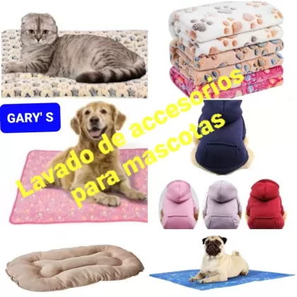  — GARY´S en CORREGIDORA