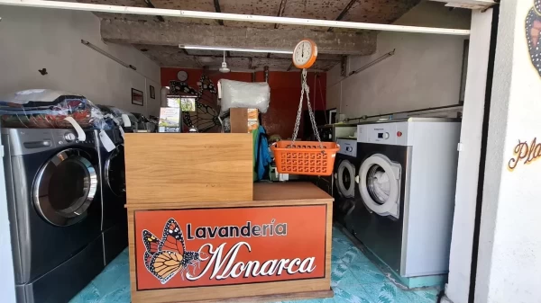 LAVANDERIA LA MONARCA