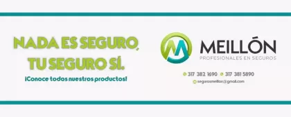 SEGUROS MEILLON - foto 2